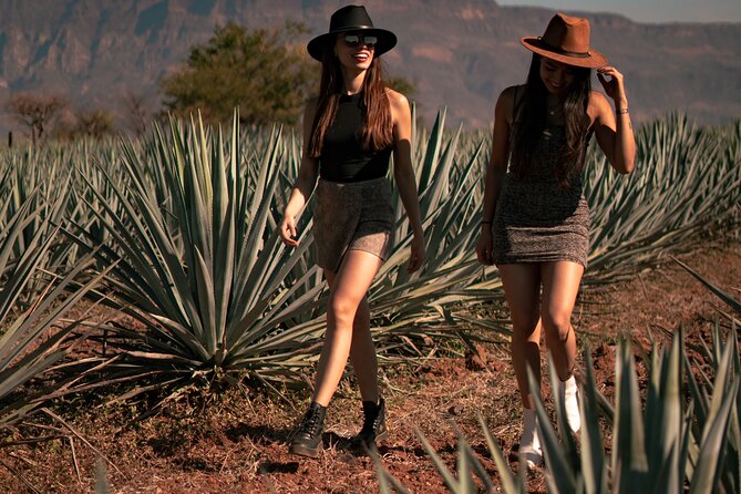 VIP Tequila Night Tour With Dinner and Tasting - Inclusions