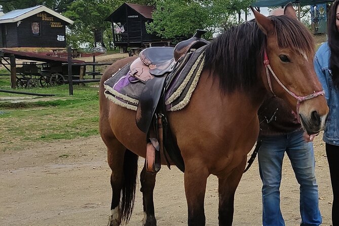 Visit a Farm and Horseback Riding in Nature - Whats Included