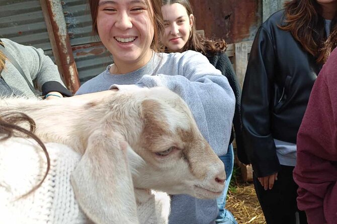 Visit a Goat Farm in a Village - Accessibility and Accommodations