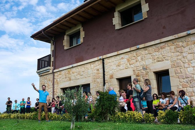 Visit and Private Tasting at the Txakolí Gaintza Winery - Meeting Point and Pickup