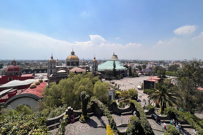 Visit of the Guadalupes Basilica in Private Tour With Transport - Inclusions and Accessibility