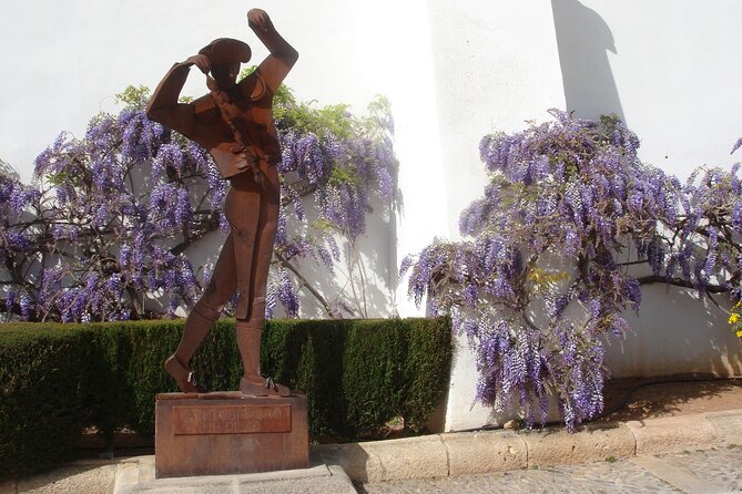 Visit Ronda and Setenil De Las Bodegas in One Day From Malaga - Traveler Experiences and Feedback