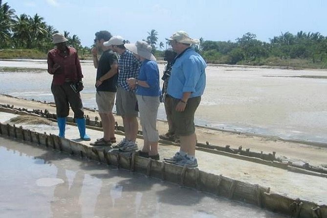 Visit Sisal Plantations & Processing Factory - Full Day Tour - Accessibility Information