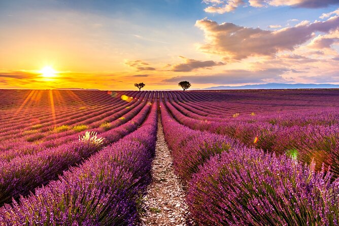 Visit the Lavender Fields, the Gorges Du Verdon, and Moustiers. - Experience the Charm of Moustiers