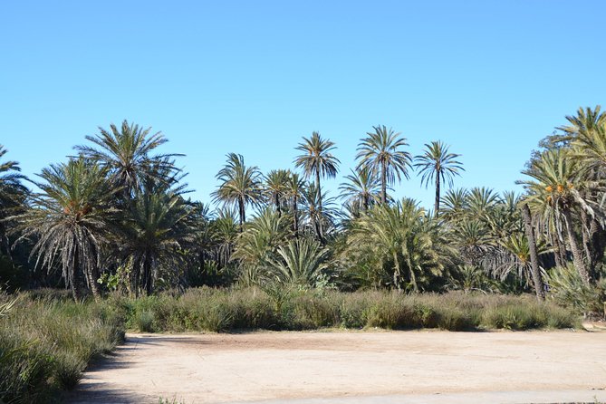 Visit the Oasis & Tea at the Basket Maker. - Pricing and Cancellation