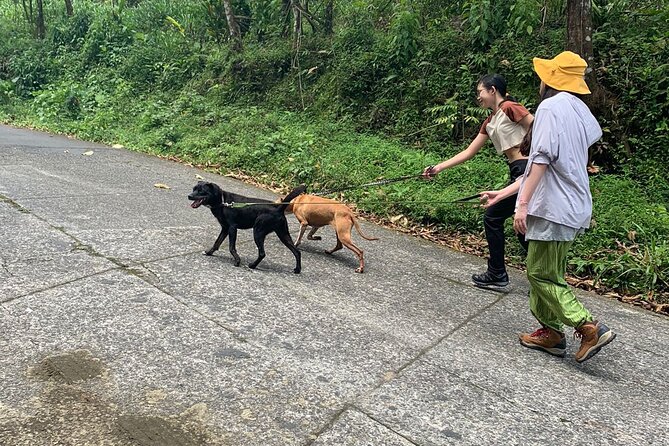 Volunteer at CR Dog Rescue - Volunteer Responsibilities