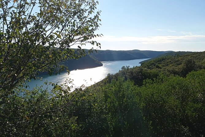 Vrsar, Lim Fjord and Rovinj Day Tour by Boat With Drinks - Cancellation and Refund Policy