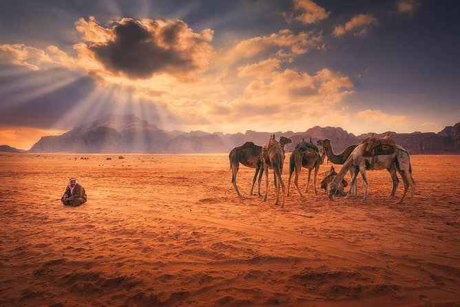 Wadi Rum Experience With Petra for 03 Days - 02 Nights From Eilat Border - Inclusions and Exclusions