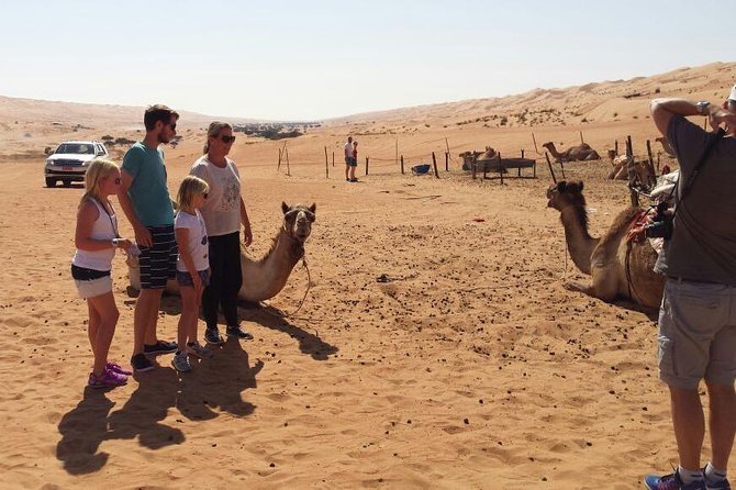 Wahiba Sands Desert Safari 4X4 - Highlights of the Experience