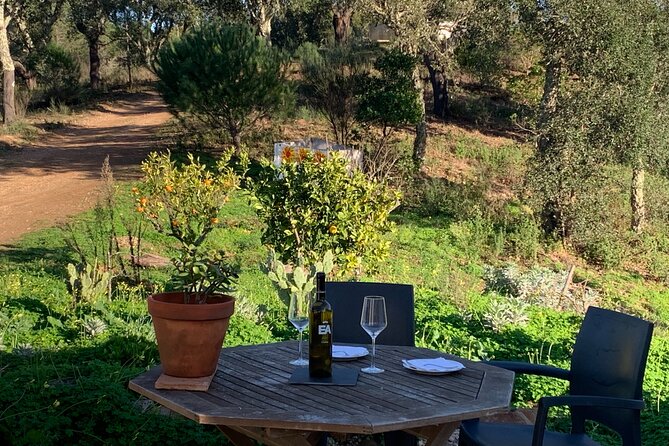 Walk in the Hills With Goat Herder-Local Honey, Wine and Cheese Tasting - Exploring Local Wine, Cheese, and Honey