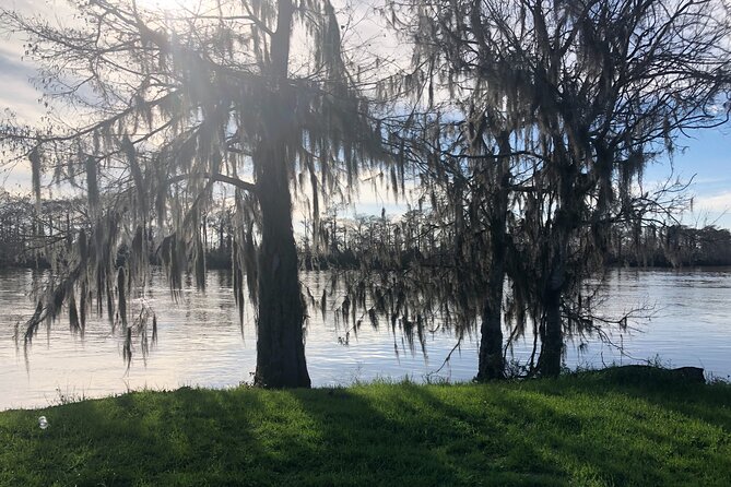 Walking Tour Into the Swamps - Whats Included