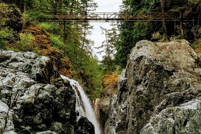 Waterfalls, Cathedral Grove Rainforest, and Coombs Adventure With Hiking - Discovering Little Qualicum Falls