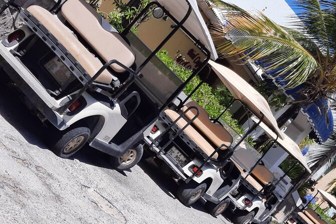 Watkins UTV American Golf Cart Rentals - Gas Requirement