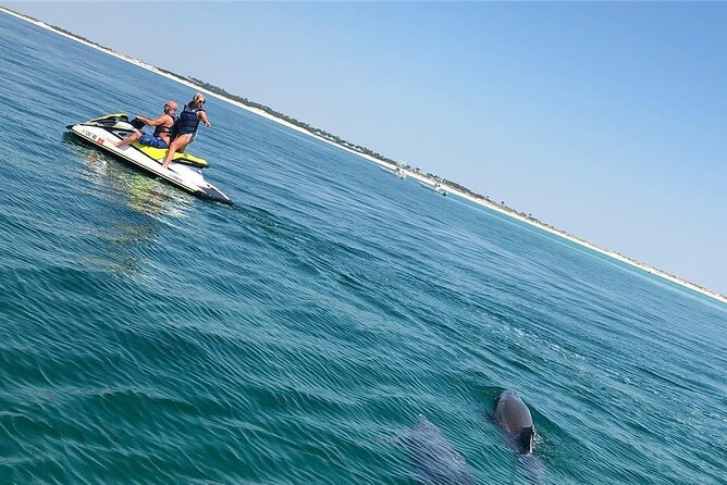 Waverunner Dolphin Tour - What to Expect