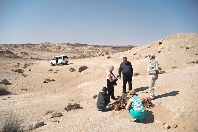 Welwitschia Tour From Swakopmund - Exploring the Moon Landscape