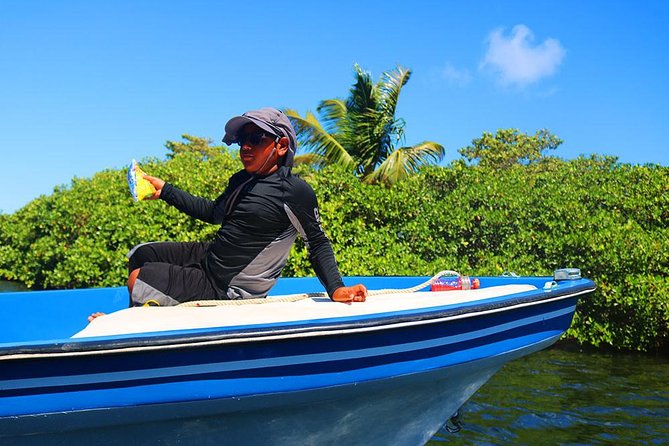 West End or West Bay to Pigeon Cay - Snorkeling Experience