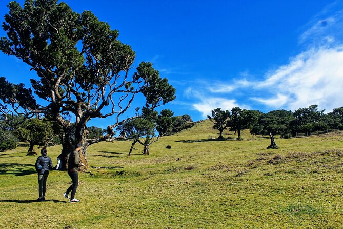 West Volcanic Pools & Unesco 4x4 Tour - Inclusions