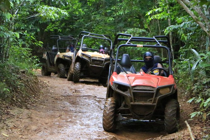 Wet N Dirty ATV Outback Adventure From Runaway Bay - Included Tour Features