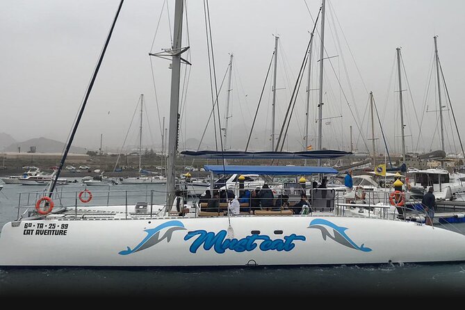 Whale & Dolphin Watching With Mustcat Virgin Coast Trip On a Large Catamaran - Meeting and Pickup