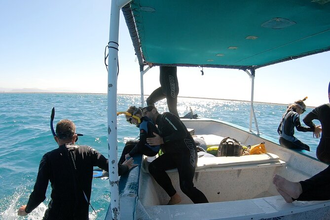 Whale Shark Adventure With Marine Biologists, 4-Hour Tour - Booking Information