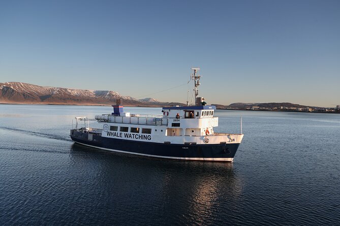 Whale Watching and Marine Life Tour in Reykjavik - Wildlife Guarantee