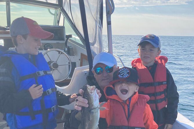 Whale Watching, Shark and Cod Fishing, From St. Johns Harbor - Wildlife Encounters