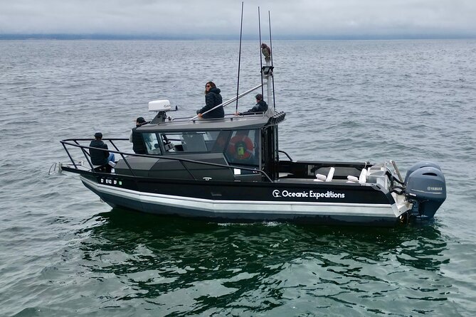 Whale Watching Tour - Meeting and Pickup Location