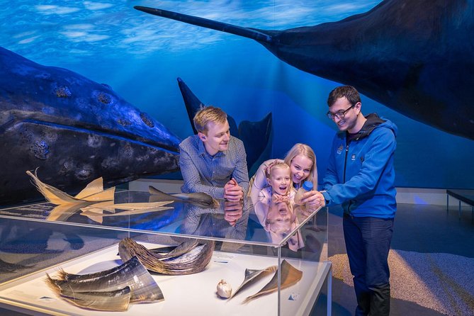 Whales of Iceland From Land and Sea - Exploring the Whales of Iceland Exhibition