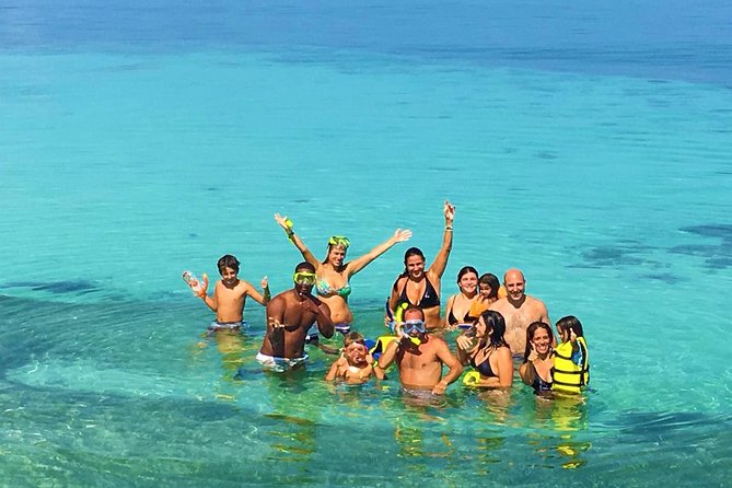 Whales Watching Half Day Experience - Tour Reviews and Ratings