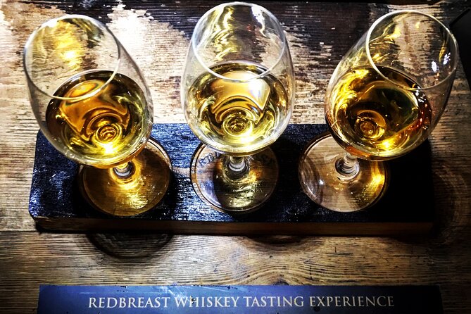 Whiskey Tasting Experience in Kilkenny - Accessibility and Participation Details