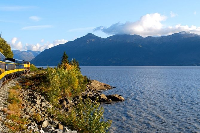 Whittier to Anchorage Cruise Transfer and Private Tour - Meeting and Pickup Details