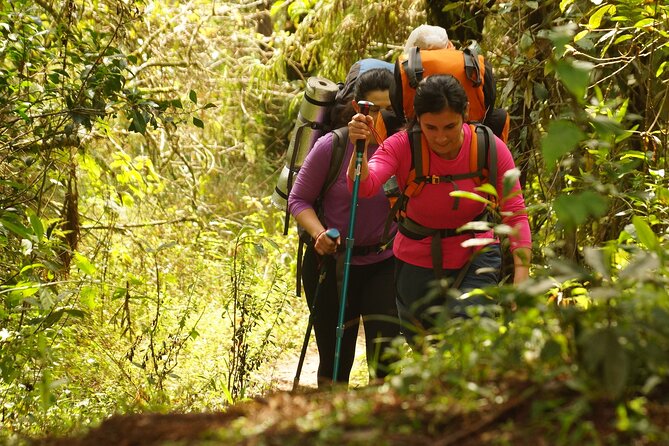 Wild Camping & Hiking in Mantiqueiras Forest - Included in the Package
