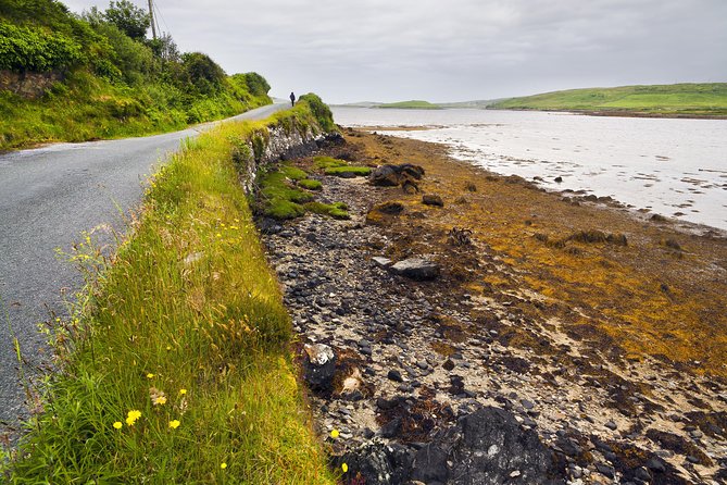 Wild Deer Viewing Safari From Letterfrack, Connemara - Guided Tour Features