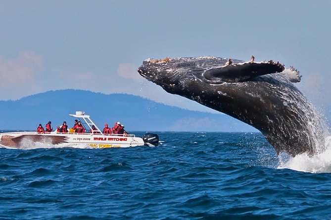 Wild Wonders Of Sri Lanka | 7 Days - Highlights of the Itinerary