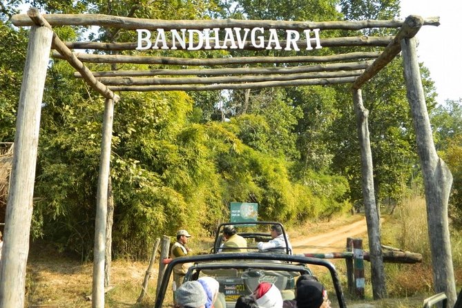 Wildlife and Cultural India Tour - Accommodations and Meals