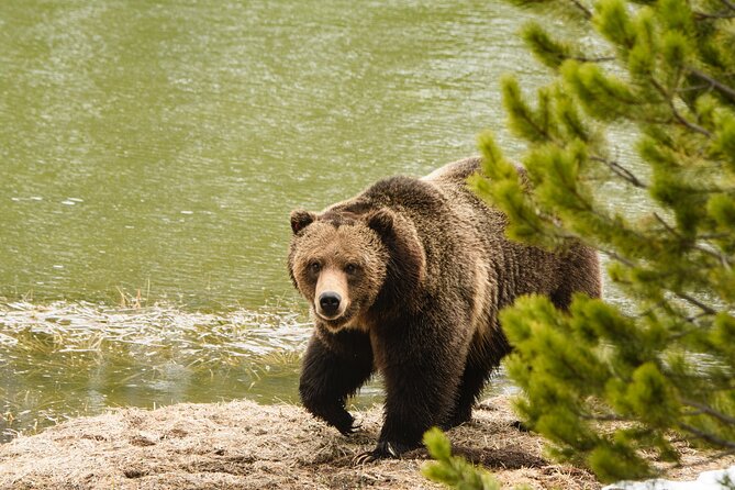 Wildlife and Waterfalls - Essential Tour Inclusions