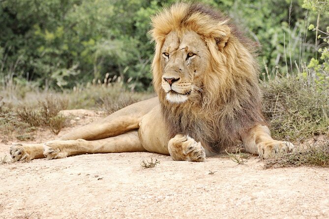 Wildlife Wonders - Addo Elephant National Park Tour - Inclusions and Amenities