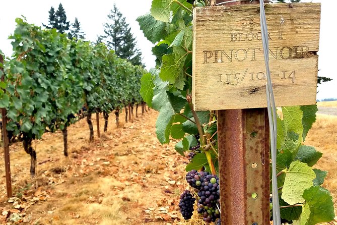 Willamette Valley Wine Tour - Full Day Tour - Inclusions and Exclusions