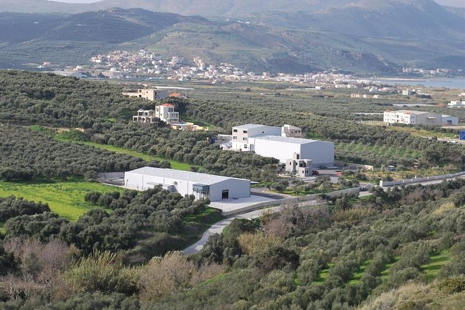 Wine, Beer, Olive Oil Tasting Private Tour (Price per Group of 6) - Pickup and Schedule