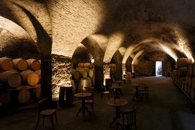 Wine Cellar & Tasting in Montevideo With Outstanding Lunch - The Tasting Experience
