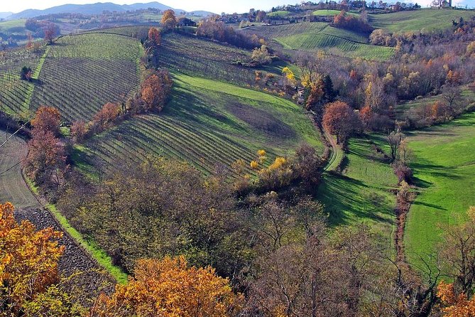 Wine Experience in the Parma Hills - Wines From Emilia-Romagna