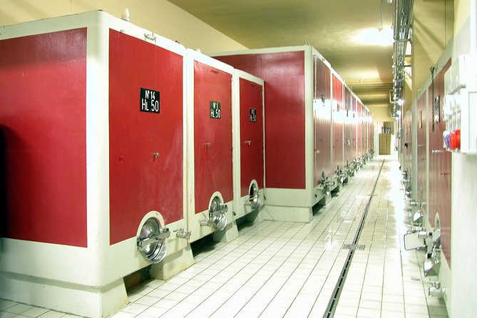 Wine Tasting and Guided Tour of the Cellar - Experience Highlights
