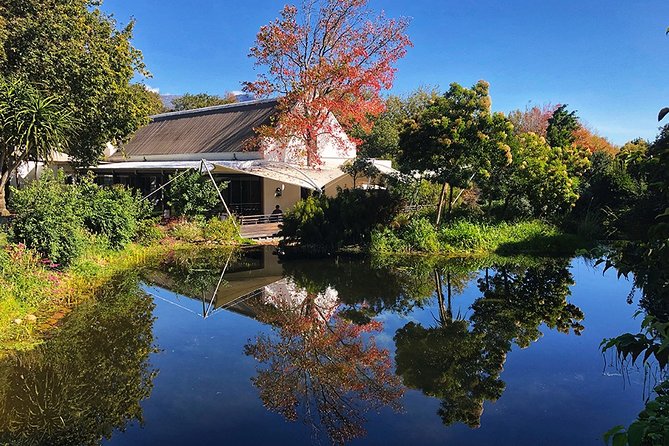Wine Tasting, Cape Dutch Farm and Art Day Tour From Cape Town - Tasting Local Delights