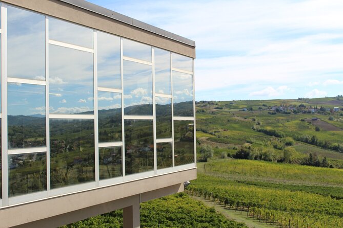 Wine Tasting Experience in Oltrepò - Guided Tour of Cellar and Vineyard