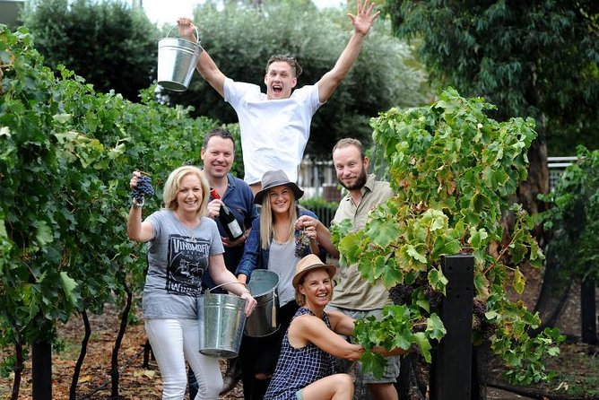 Wine Tasting: Full-Day Wine Tour in Kakheti (ALL INCLUSIVE) - Inclusions