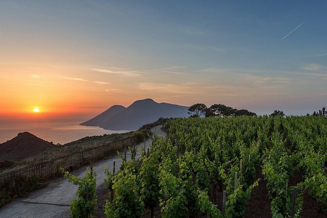 Wine Tasting in Vineyard at the Sunset in Lipari Island - Meeting and Pickup