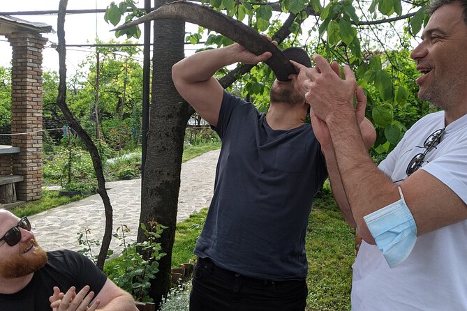 Wine Tasting Tour in Georgias Cradle of Wine - What to Expect on the Tour