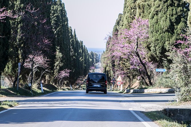 Wine Tour Bolgheri Half Day Shore Excursion From Piombino Port - Inclusions in the Package
