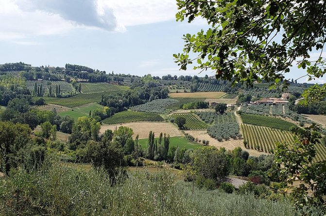 Wine Tour in Umbria Along the Sagrantino Trail With Light Lunch - Itinerary Highlights