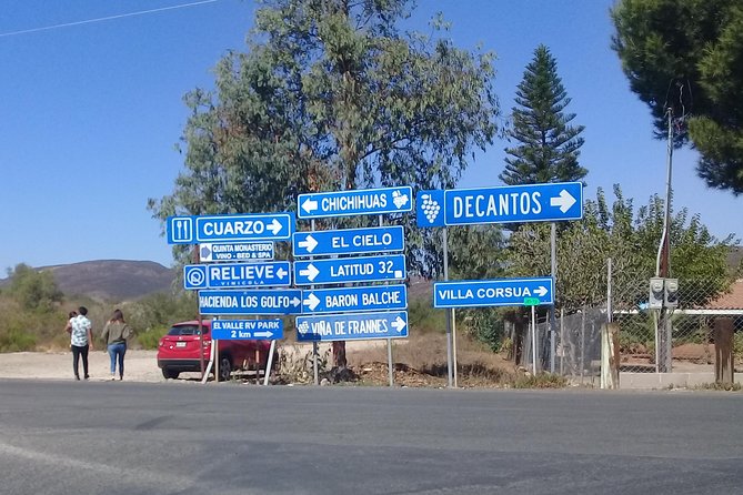 Wine Tours and Driver Service Through Valle De Guadalupe, Ensenada B.C. Mexico - Tour Experience and Accessibility